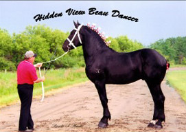 HiddenView, Inc